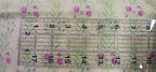 Quilt Cotton, Henry Glass & Co. "Romance" 1374 by M. Pierce Illustrator LLC