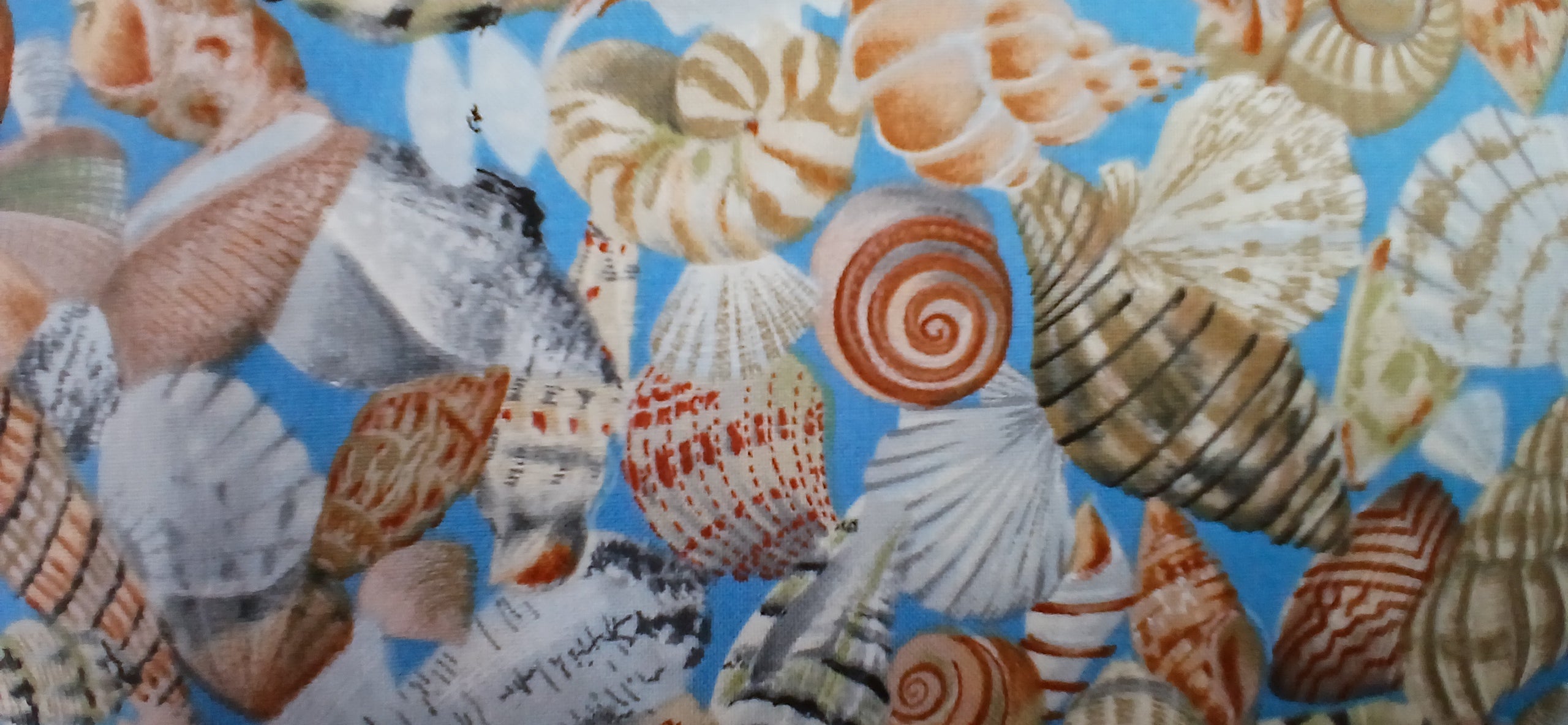 Vintage Quilt Cotton, Timeless Treasures, Seashells