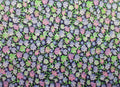 Vintage Boussac of France Cotton (1981), Calico Print